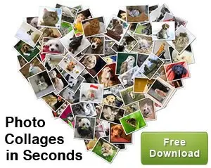 Photo Collages in Seconds2