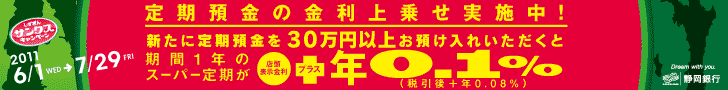 静岡銀行 ありがとうの夏-2