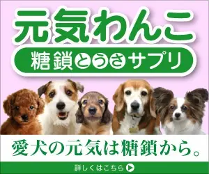 元気わんこ