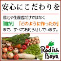 RadishBoya