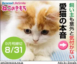 ねこのきもち 