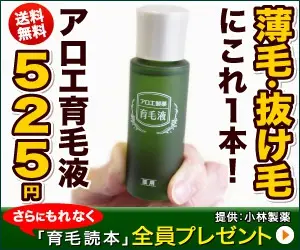 アロエ育毛液