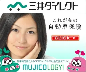 三井ダイレクト自動車保険-3