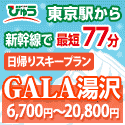 びゅう 日帰りスキープラン