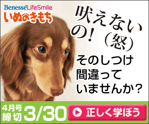いぬのきもち そのしつけ間違っていませんか？