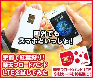 圏外でもスマホといっしょ！