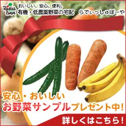 安心・おいしい お野菜サンプル プレゼント中！