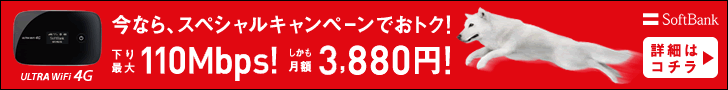 下り最大11Mbps! しかも月額3,880円!