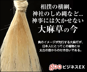 相撲の横綱、神社のしめ縄など...神事には欠かせない大麻草の今