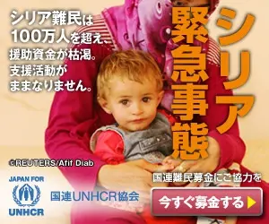 シリア緊急事態
