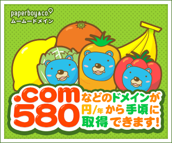 .comなどのドメインが580円/年から手頃に取得できます！