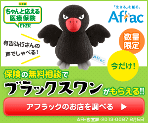 保険の無料相談でブラックスワンがもらえる!! Aflac