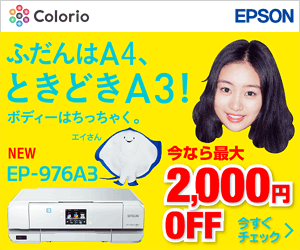 EPSON EP-976A3 ふだんはA4、ときどきA3！