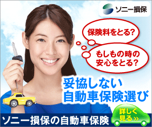 妥協しない自動車保険選び ソニー損保
