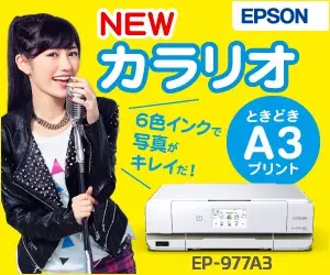 NEW カラリオ EPSON