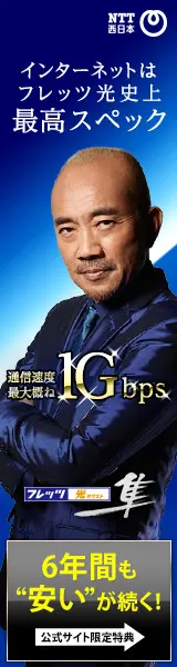 インターネットはフレッツ光史上最高スペック フレッツ 光ネクスト 隼