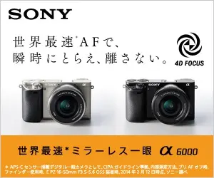SONY 世界最速AFで、瞬時にとらえ、離さない。α6000