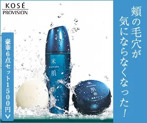 頬の毛穴が気にならなくなった！KOSE PROVISION