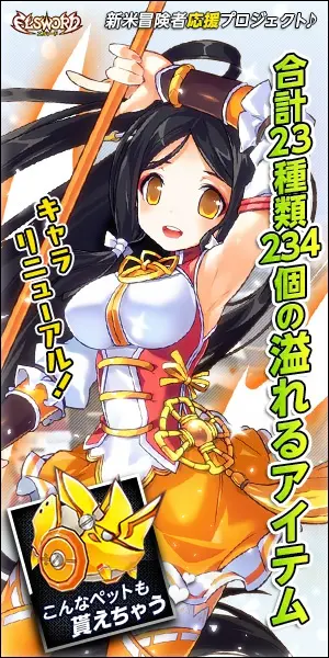 合計23種類234個の溢れるアイテム ELSWORD