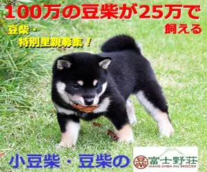 100万の豆柴が25万で飼える 富士野荘