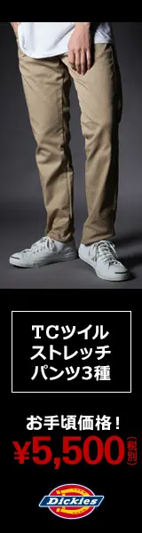 お手頃価格！¥5,500 Dickies