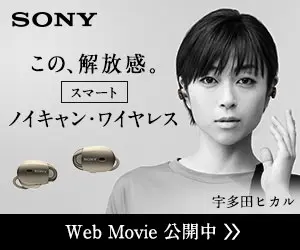 この、解放感。ノイキャン・ワイヤレス SONY
