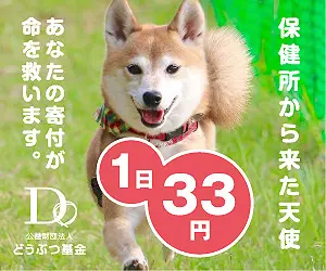 保健所から来た天使 公益財団法人どうぶつ基金