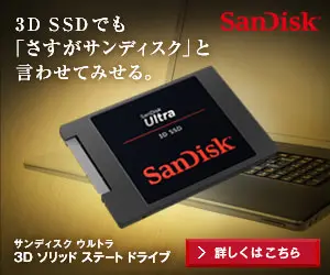 3D SSDでも「さすがサンディスク」と言わせてみせる。