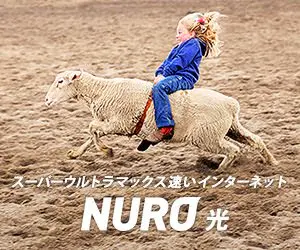 スーパーウルトラマックス速いインターネット NURO光