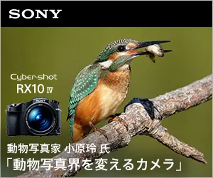 動物写真家小原玲氏 「動物写真界を変えるカメラ」SONY WX10 Ⅳ