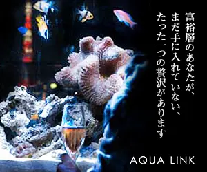 富裕層のあなたが、まだ手に入れていない、たった一つの贅沢があります AQUA LINK