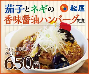 茄子とネギの香味醤油ハンバーグ定食 松屋