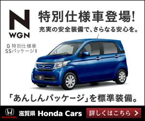 特別仕様車登場！N WGN