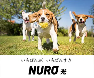 いちばんが、いちばんすき NURO光