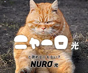 NURO Hikari NURO Hikari