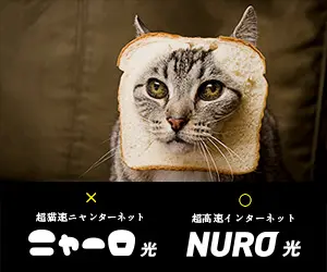 ニャーロ光 NURO光