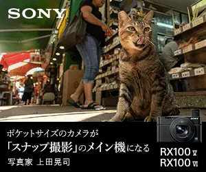 ポケットサイズのカメラが「スナップ撮影」のメイン機になる SONY RX100