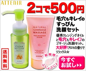 2コで500円 ATTENIR