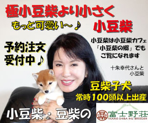 極小豆柴よりより小さくもっと可愛い～♪ 富士野荘