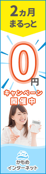 2か月まるっと0円キャンペーン開催中 かもめインターネット